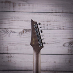 Ibanez Altstar ALT30FM Acoustic Guitar | Blue Doom Burst