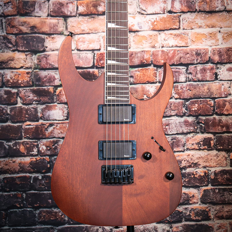 Ibanez GRG121DX Gio Series Electric Guitar