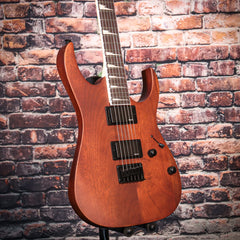 Ibanez GRG121DX Gio Series Electric Guitar