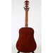 Ibanez IJV30 Acoustic Guitar Starter Pack