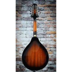Ibanez M510 A-Style Acoustic Mandolin | Brown Sunburst