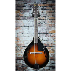 Ibanez M510 A-Style Acoustic Mandolin | Brown Sunburst