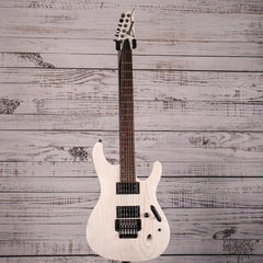 Ibanez Paul Waggoner Signature Guitar | PWM20
