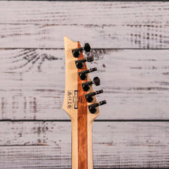 Ibanez Paul Waggoner Signature Guitar | PWM20
