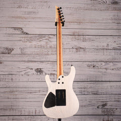 Ibanez Paul Waggoner Signature Guitar | PWM20
