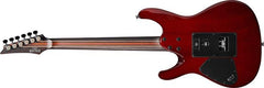 Ibanez S Premium White Frost Burst | S1070PBZ