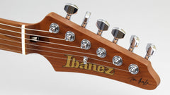 Ibanez TQM1 Tom Quayle Signature Electric Guitar