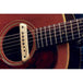 L.R. Baggs Acoustic Guitar Soundhole Pickup | M1A