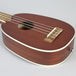 Lanikai Mahogany Pineapple Soprano Ukulele | MA-P