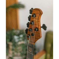 Music Man Stingray 5 35th Anniversary Bass Spalted Sunburst