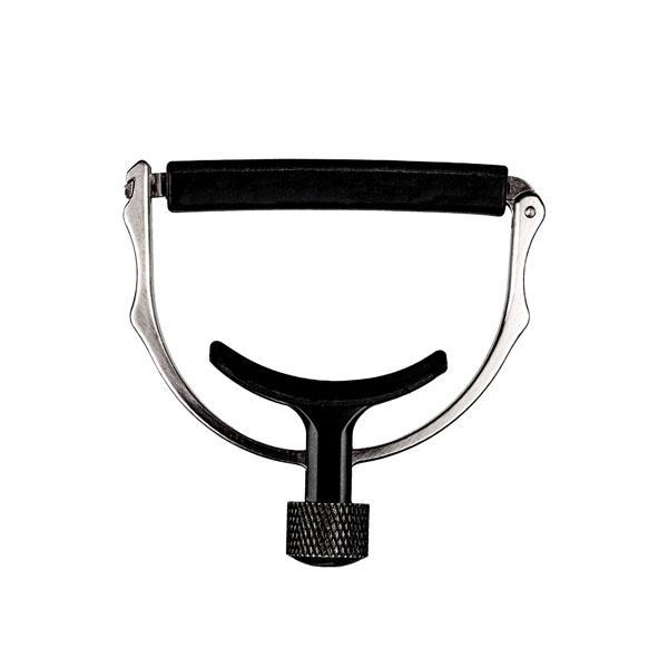 D'ADDARIO AND CO NS CAPO LITE