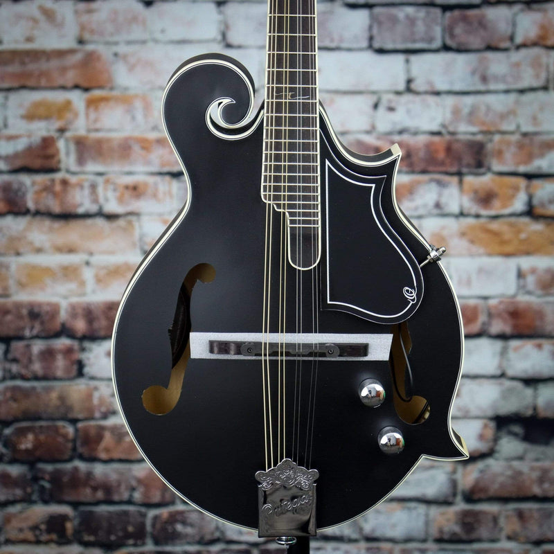 Ortega F-Style Mandolin | RMFE40SBK