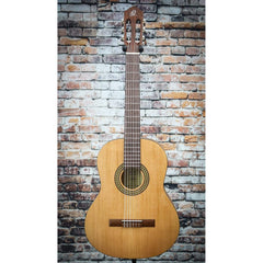 Ortega Student Series Nylon String Guitar | RSTC5M