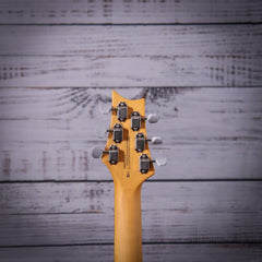 PRS SE Silver Sky - Evergreen