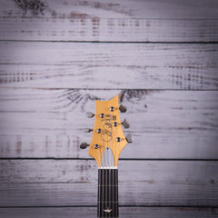 PRS SE Silver Sky - Evergreen