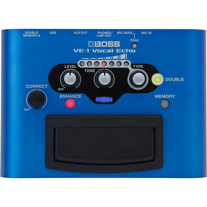 Roland VE-1 VOCAL ECHO