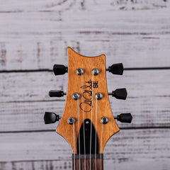 SE PAUL'S GUITAR *NEW COLOR*