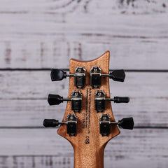 SE PAUL'S GUITAR *NEW COLOR*