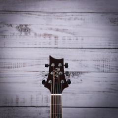 SE T40 Tonare *NEW PRS voiced //Fishman Sonitone Pickup*