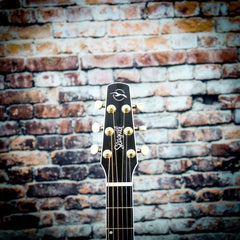 Seagull Artist Mosaic CH CW Bourbon Burst GT EQ