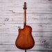 Seagull Entourage Acoustic/Electric Guitar | Autumn Burst