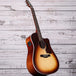 Seagull Entourage Acoustic/Electric Guitar | Autumn Burst