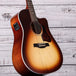 Seagull Entourage Acoustic/Electric Guitar | Autumn Burst