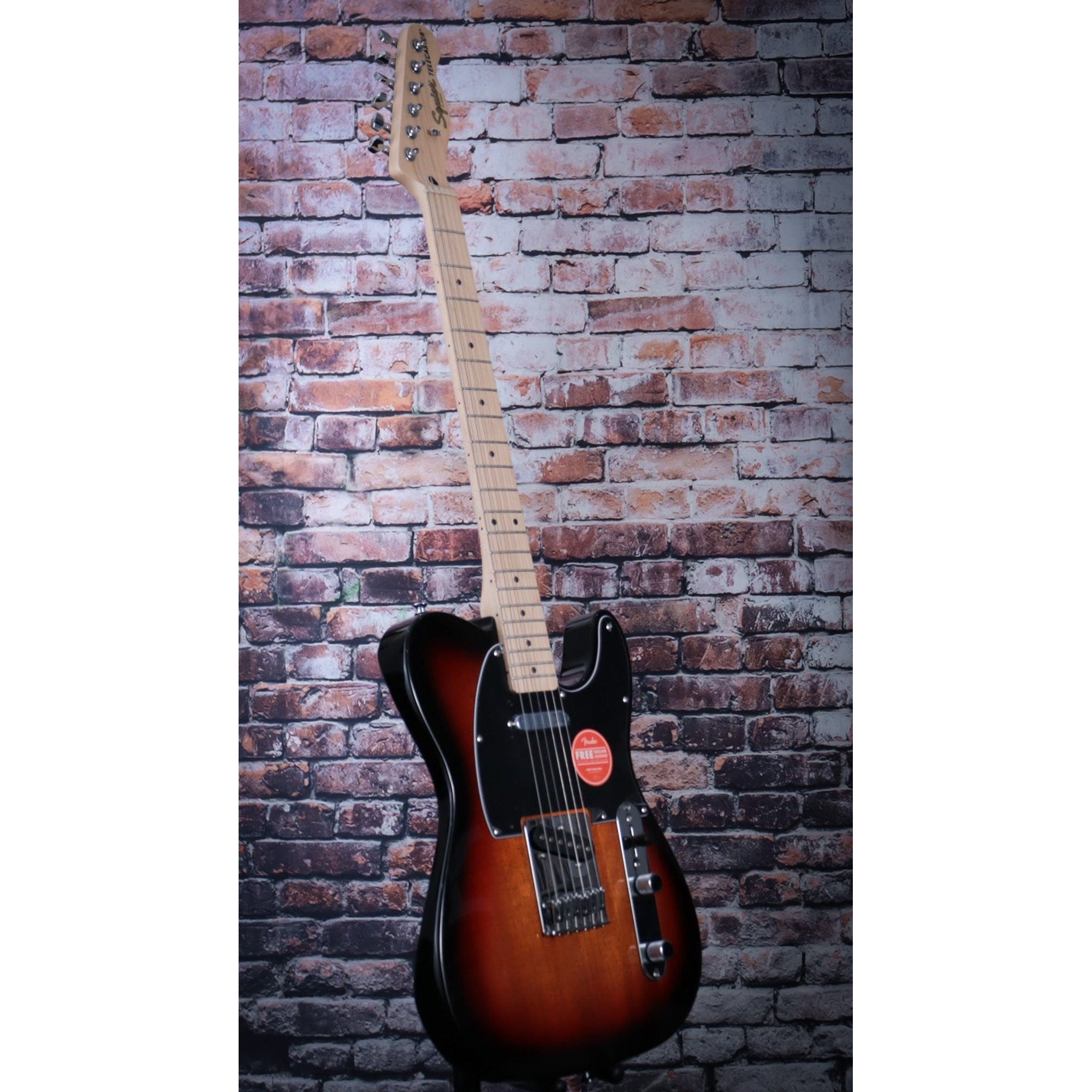 Squier affinity store telecaster colors