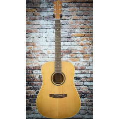 Teton Standard 105 Cedar Dreadnought | Left-Handed