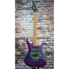 Vola OZ ROA DSE Electric Guita