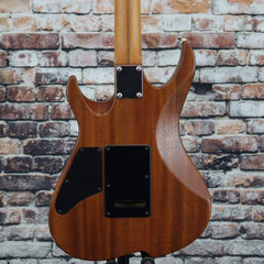 Vola OZ ROA DSE Electric Guita